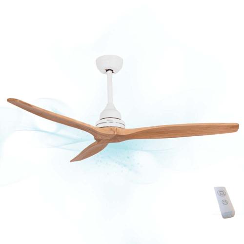 Cecotec ENERGYSILENCE AERO 590